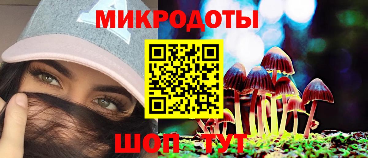 Калач-на-Дону  Псилоцибиновые грибы прущие грибы  Вход с VPN  Галлюциногенные грибы Cubensis 