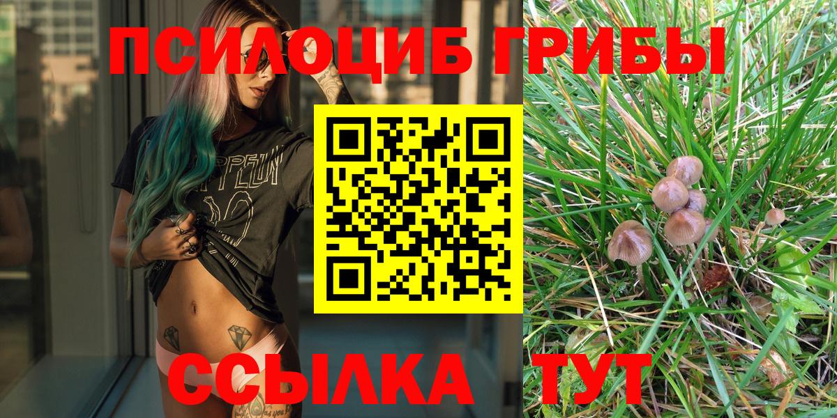 Галлюциногенные грибы Psilocybine cubensis Калач-на-Дону